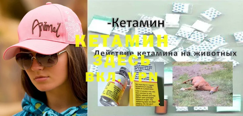 Кетамин ketamine  даркнет сайт  Елизово 